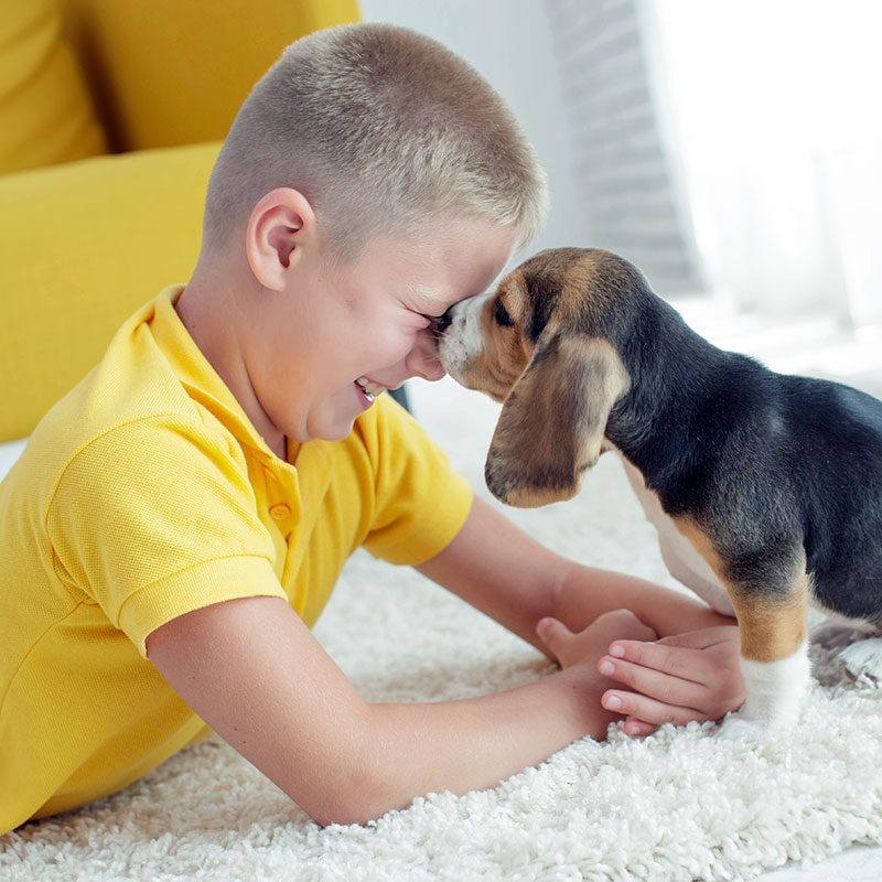 Child With Puppy